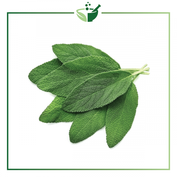 Sage Essential Oil-01